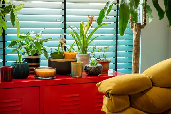 Pencerenin önündeki Parlak Kırmızı Dolapta Kapalı Çiçekler ve Mumlar