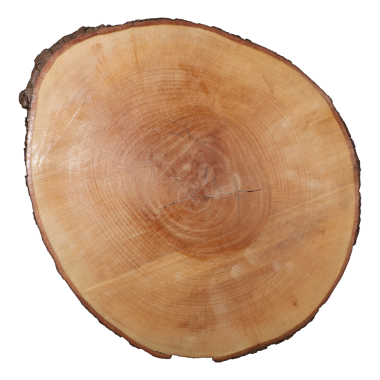 Tahta servis ve kesim tahtası, izole edilmiş beyaz arkaplan