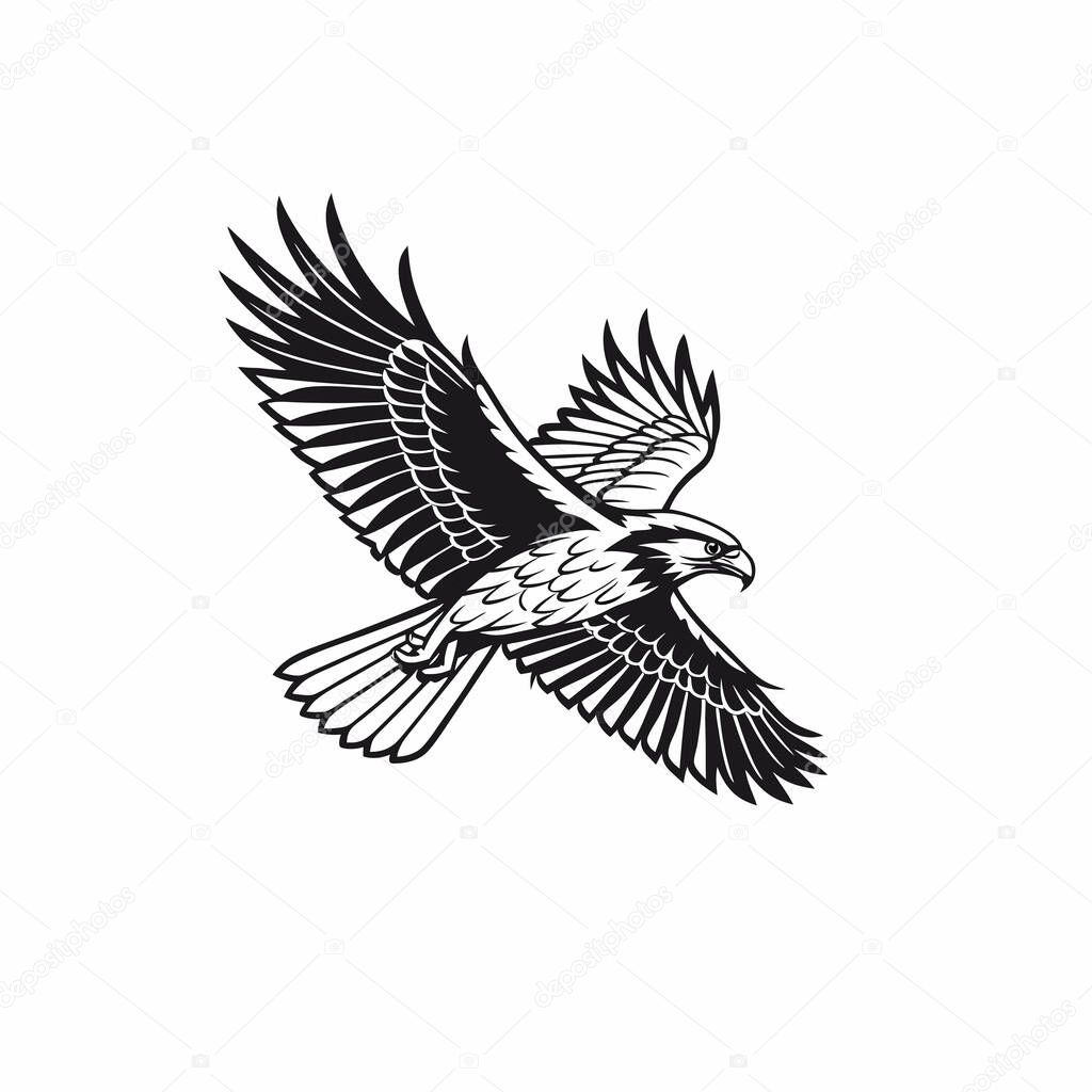 Powerful Falcon in Flight, Perfect for Logos and Designs