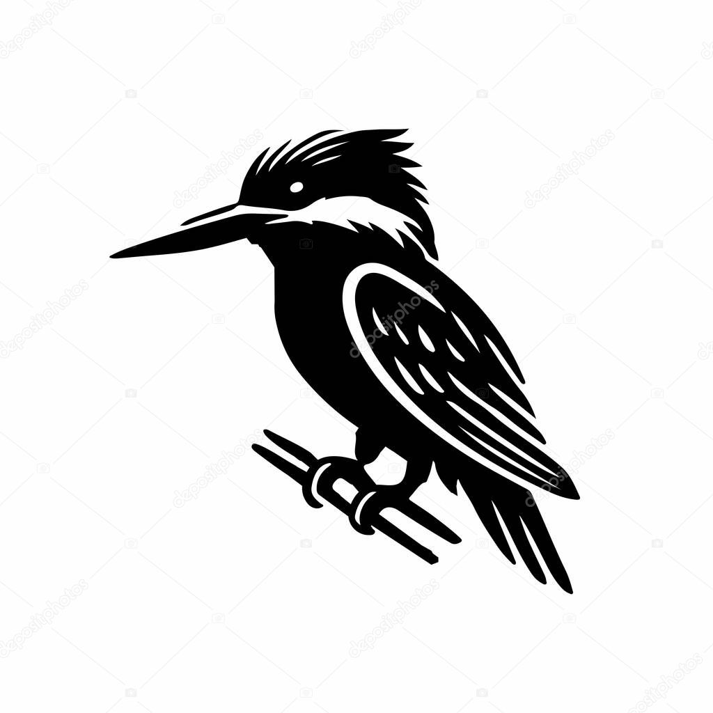 Striking Silhouette of a Kingfisher