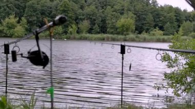 Sakin bir gölde yaz balıkçılığı. Yüksek kalite 4k görüntü