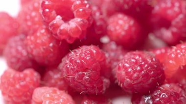 Yazın Bush 'ta yetişen taze ahududu. Yüksek kalite 4k görüntü