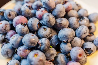 Yazın Bush 'ta yetişen taze yabanmersini. Yüksek kalite 4k görüntü