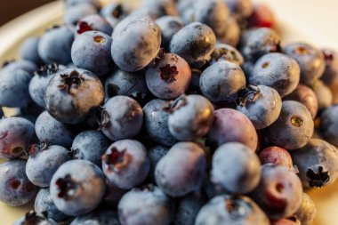 Yazın Bush 'ta yetişen taze yabanmersini. Yüksek kalite 4k görüntü