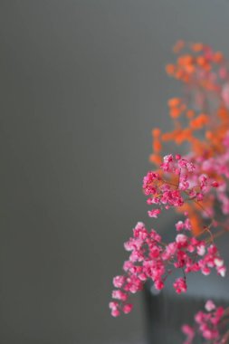 Bahçede güzel bahar çiçekleri