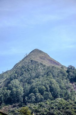 Keskin bir tepe ile görkemli bir dağ, berrak mavi bir gökyüzü altında yoğun yeşil bitki örtüsüyle kaplı, dağlık arazinin doğal güzelliğini ve sükunetini anımsatıyor. Önplandaki yemyeşil ağaçlar dağın kendine özgü şekli olan crea ile tezat oluşturuyor.