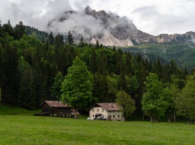 Hilly ve yeşil manzaralı bina. Yüksek kalite fotoğraf