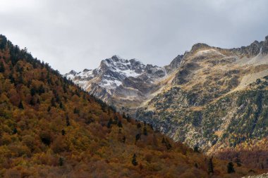 Göz kamaştırıcı bir sonbahar manzarası görkemli dağları ve renkli yaprakları gözler önüne seriyor.