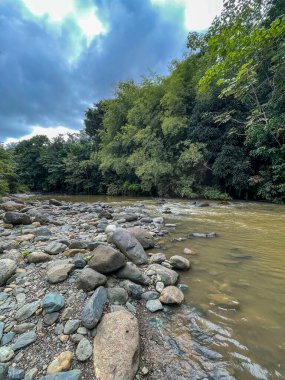 Yoğun yeşil yapraklarla çevrili, kayalık bir arazide huzurlu bir nehir akar. Bulutlu gökyüzü, dokunulmamış bu doğal geri çekilmenin sükunetini artırıyor..