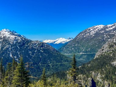 Alaska 'nın vahşi doğasının nefes kesici manzarası, karla kaplı yüksek tepeli dağlar, derin yeşil vadiler ve engebeli kayalık yamaçlar. Doğa 'nın dokunulmamış güzelliği açık mavi gökyüzünün altında parlıyor. Açık hava meraklıları için mükemmel bir sahne sunuyor. 
