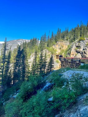 Beyaz Geçit, Alaska 'da tarihi ahşap köprüyü geçen manzaralı bir tren yolculuğu. Yükselen yeşil ağaçlar ve engebeli dağ manzaralarıyla çevrili bu yol, nefes kesici manzaralar sunuyor ve bölgenin zengin demiryollarına bir göz atıyor.