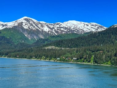 Alaska 'nın çarpıcı manzarası yemyeşil dağlar, çağlayan bir şelale ve aşağıdaki el değmemiş sularda eriyen buz kalıntıları.. 