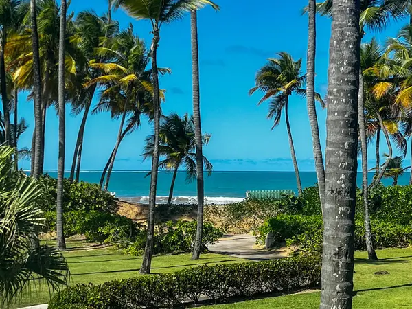 Nefes kesen tropikal bir cennet, verimli palmiye ağaçları okyanus esintisinde hafifçe sallanıyor. Turkuaz sular altın kumlarla buluşup mükemmel bir sahil kaçışı yaratıyor..