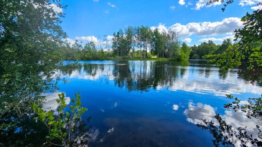 Kıyıdaki güzel göl. Ormanda güneşli bir günde göl..