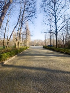 Parktaki bir bahçeye giden yol