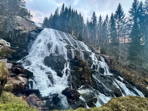Ağaçlarla çevrili güzel bir şelalenin dikey görüntüsü.