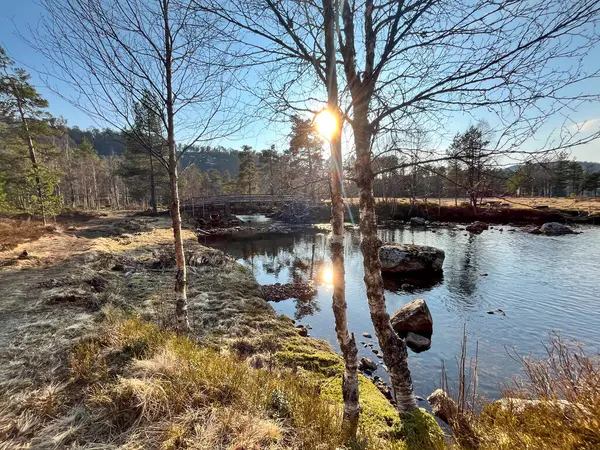 Güzel bir göl manzarası