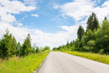 Ormanda asfalt yol. bulutlu bir günde dağ manzarası