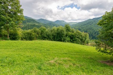 Yazın bir kırsal bölgenin dağ manzarası. Bulutlu gökyüzünün altında güzel doğa ortamı. Orman çayırın arkasındaki tepede
