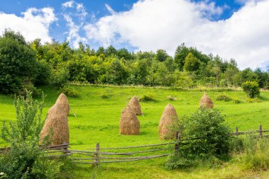 Dağlardaki kırsal alan. Ormanın yakınındaki samanlıkta. Bulutlu bir yaz günü
