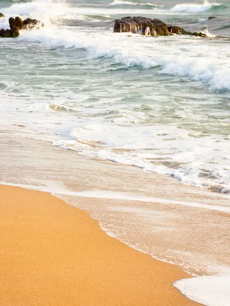 Sahilde deniz köpüğüyle birlikte doğa. Sahilde dalgalı bir arka plan. Deniz kenarında yaz tatili