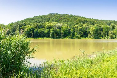 Tepedeki ormanların arasında göl olan yaz doğası. Sahilde yeşil çimenler. Balık tutmak ve bulutsuz mavi gökyüzü ile güneşli bir günde dinlenmek için kırsal alan