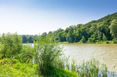 Tepedeki ormanların arasında göl olan yaz doğası. Sahilde yeşil çimenler. Balık tutmak ve bulutsuz mavi gökyüzü ile güneşli bir günde dinlenmek için kırsal alan