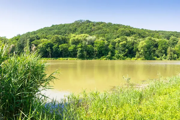 Tepedeki ormanların arasında göl olan yaz doğası. Sahilde yeşil çimenler. Balık tutmak ve bulutsuz mavi gökyüzü ile güneşli bir günde dinlenmek için kırsal alan