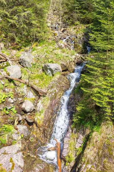 Sonsuz yeşil ormanda şelale. İlkbaharda dağ deresi olan güzel doğa manzarası. Kayaların arasından akan su akıntısı. vahşi ve taze alp ortamı
