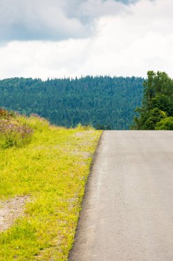 Tepenin yukarısında düz asfalt köy yolu. Yol kenarında çimen olan tarım alanından geçen yol. bulutlu gökyüzü