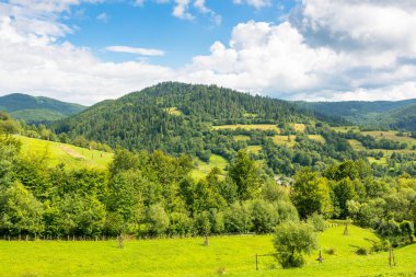 Yazın kırsal dağ manzarası. Karpatların yuvarlanan tepelerinde bulutlu gökyüzünün altında kırsal alan ve orman. Yeşil çimenleri ve ağaçları olan güzel bir açık hava.