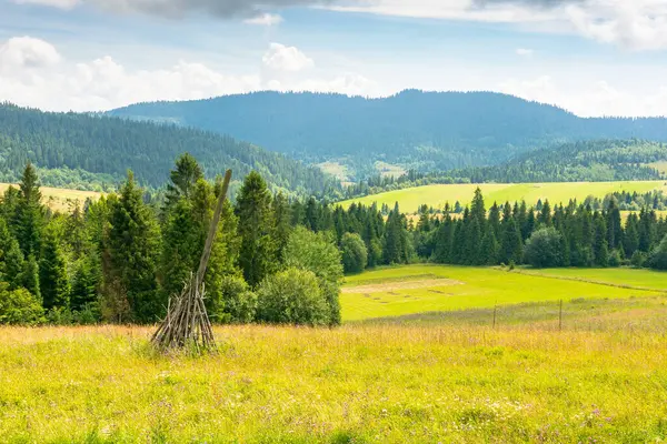Yazın bulutlu gökyüzü olan Carpathian dağ manzarası. Vadideki güzel açık hava manzarası. Güneşli bir günde harika bir kırsal bölge
