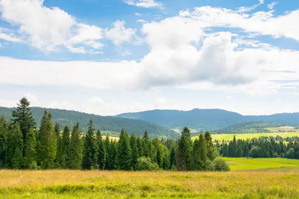 Yazın bulutlu gökyüzü olan Carpathian dağ manzarası. Yürüyüş için kırsal manzara manzarası. Güneşli bir günde harika bir kırsal bölge