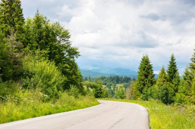 Ormanda asfalt yol. bulutlu bir günde dağ manzarası