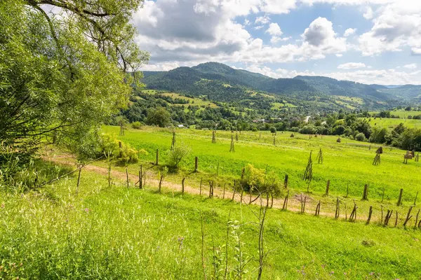 Yazın kırsal alan. Tepelerdeki yeşil tarlalar