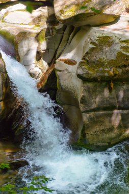 Yazın ormandaki kayaların arasından şelale. Turychka Nehri 'ndeki Davir Şelalesi ile güzel bir doğa manzarası. Vahşi su akıntısının keşfi. Avrupa kayın ağacında açık hava macerası