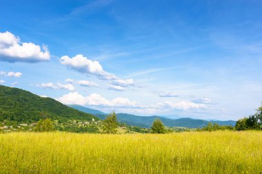 Akşam, dağlarda çimen tarlası olan yaz manzarası. Transcarpathia 'nın kırsal manzarası, Ukrayna manzaralı uzak sırt manzaralı mavi gökyüzünün altında, kabarık bulutlu hoş bir atmosfer.