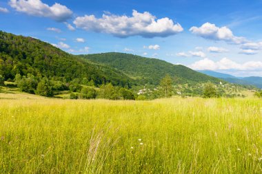 Akşam, dağlarda çimen tarlası olan yaz manzarası. Transcarpathia 'nın kırsal manzarası, Ukrayna manzaralı uzak sırt manzaralı mavi gökyüzünün altında, kabarık bulutlu hoş bir atmosfer.