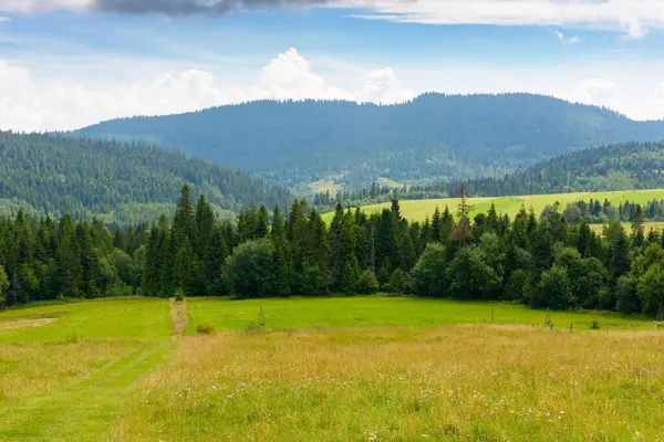 Yazın dağlık kırlarda. Yuvarlanan tepelerdeki orman ve yeşil alan. Mavi gökyüzünün altında bulutlu bir manzara. Kırsal manzaranın güzel manzarası. Güneşli bir günde Karpatlar vadisinde yolculuk