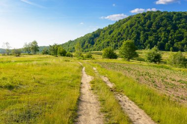 Dağlardaki toprak yolda. Yazın Ukrayna 'nın güzel kırsal manzarası. Mavi gökyüzünün altında akşam ışığında bulutlarla birlikte kırsal yeşil bir çevre manzarası. Tepedeki orman