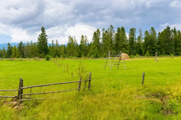 Ormanın yakınındaki kırsal saman tarlası. Ahşap çitin arkasındaki yeşil çimenler. Yazın dramatik bulutlu hava. Kozalaklı ağaçların önündeki doğal otlaklarla güzel bir manzara.