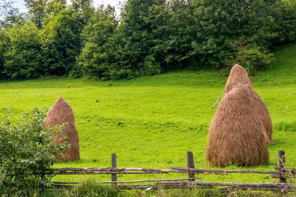 Dağlardaki kırsal alan. Ormanın yakınındaki samanlıkta. Bulutlu bir yaz günü