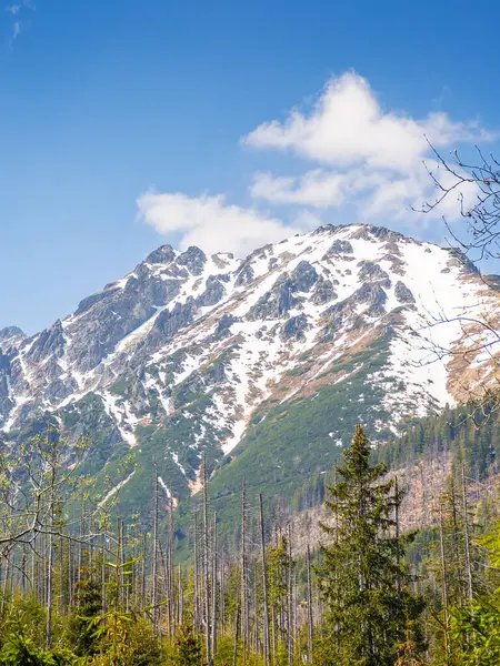 Polonya 'daki dağ manzarası. İlkbaharda gökyüzü ve bulutların altında orman ve tepe ile doğa