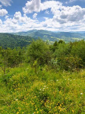 Yazın Ukrayna 'nın yeşil dağ manzarasındaki orman. Bulutlu gökyüzü ile güzel doğa manzarası. Nehir kıyısındaki vadiye manzaralı popüler bir seyahat yeri. Doğal park ekosistemi