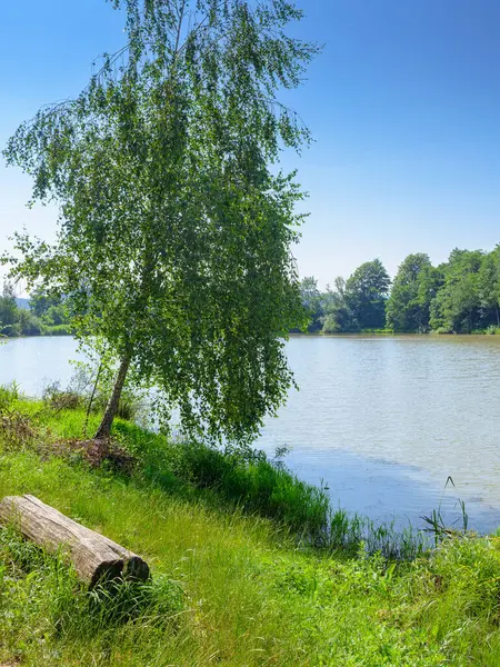 Ormanın yanındaki göl. Yazın güzel bir doğa manzarası. Karpat dağlarında sakin güneşli bir sabah. Açık mavi gökyüzü altındaki kır manzarası. uzak yerlerde tatiller