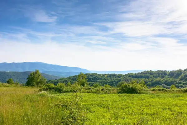 Yazın dağ manzarasında bir tarla. Gün batımında mavi gökyüzünün altındaki yeşil Karpat Alpleri 'nin güzel manzarası. Yuvarlanan tepeler ve çayırlar ile görkemli kır manzarası