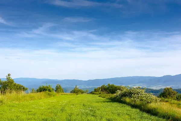Yazın dağ manzarasında bir tarla. Gün batımında mavi gökyüzünün altındaki yeşil Karpat Alpleri 'nin güzel manzarası. Yuvarlanan tepeler ve çayırlar ile görkemli kır manzarası