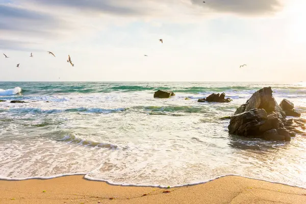 Kum sahili ve sabah güneşinde kaya. Suyun yanında güzel bir yolculuk. Dinlenme ve tatil sezonu için dalgalı doğa manzarası. ilham kaynağı