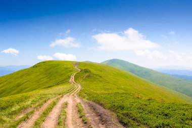 Dağ sırtı manzarası boyunca patika. Ukrayna 'nın yaz yolculuğu geçmişi. Güneşli bir günde çimenli, yuvarlanan tepeli güzel doğa manzarası