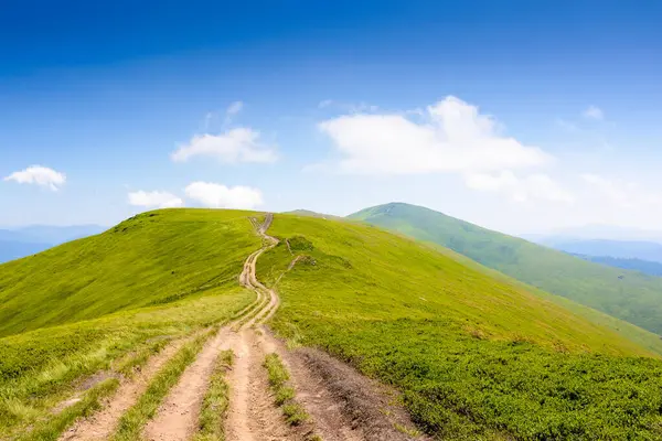 Dağ sırtı manzarası boyunca patika. Ukrayna 'nın yaz yolculuğu geçmişi. Güneşli bir günde çimenli, yuvarlanan tepeli güzel doğa manzarası